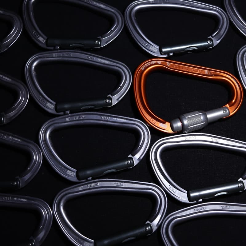 Anchor Carabiner Set (4)